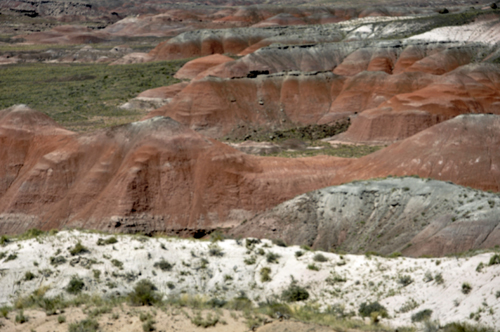 The Petrified Desert as seen from Whipple Point